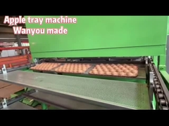 Waste Paper Pulp Apple Egg Tray Making Machine