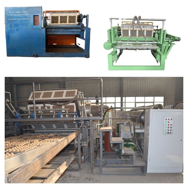 W pełni zautomatyzowana linia do produkcji tacek na jajka wyposażona w inteligentny panel sterowania i system suszenia zwiększający produktywność Maszyna do produkcji tacek na jajka Wydajność 700-6000 sztuk/h