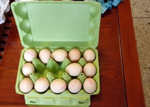 Maszyna do tacek na jajka papierowe Mała pojemność Wygodna instalacja Linia do produkcji tacek na jajka do produkcji kartonów na jajka