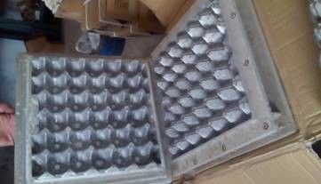 Linia do produkcji tacek papierowych typu obrotowego do kartonów na jajka / tacek na jabłka 4000 sztuk/h