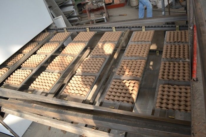 Formowanie masy celulozowej 6*8 form 5000-6000 sztuk / godzinę Automatyczna maszyna do produkcji tacek na jajka Linia do formowania masy celulozowej