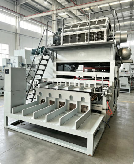 WANYOU Rotary Egg Tray Machine Egg Carton Production Line 2000-5000 pcs/h Recycled Paper Pulp Molding for Brazilian Poultry Farm