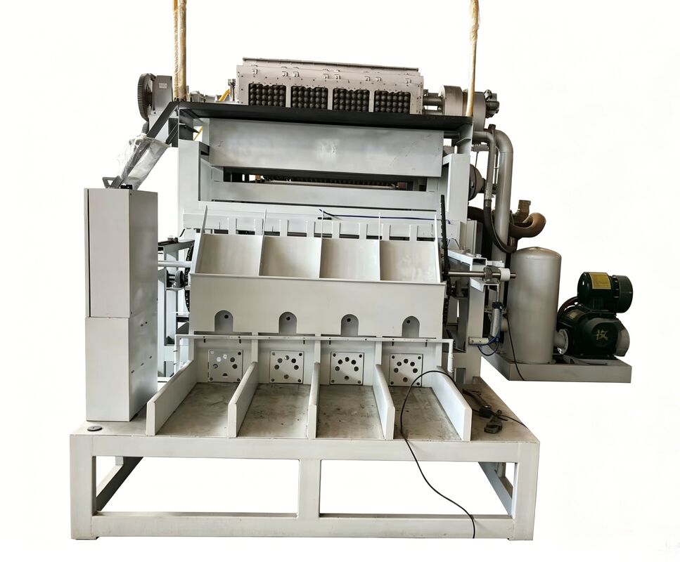 WANYOU WY-1 Rotary Egg Tray Forming Machine z automatycznym sterowaniem PLC dla 2500-3000 sztuk/h Produkcja z wykorzystaniem papieru z recyklingu