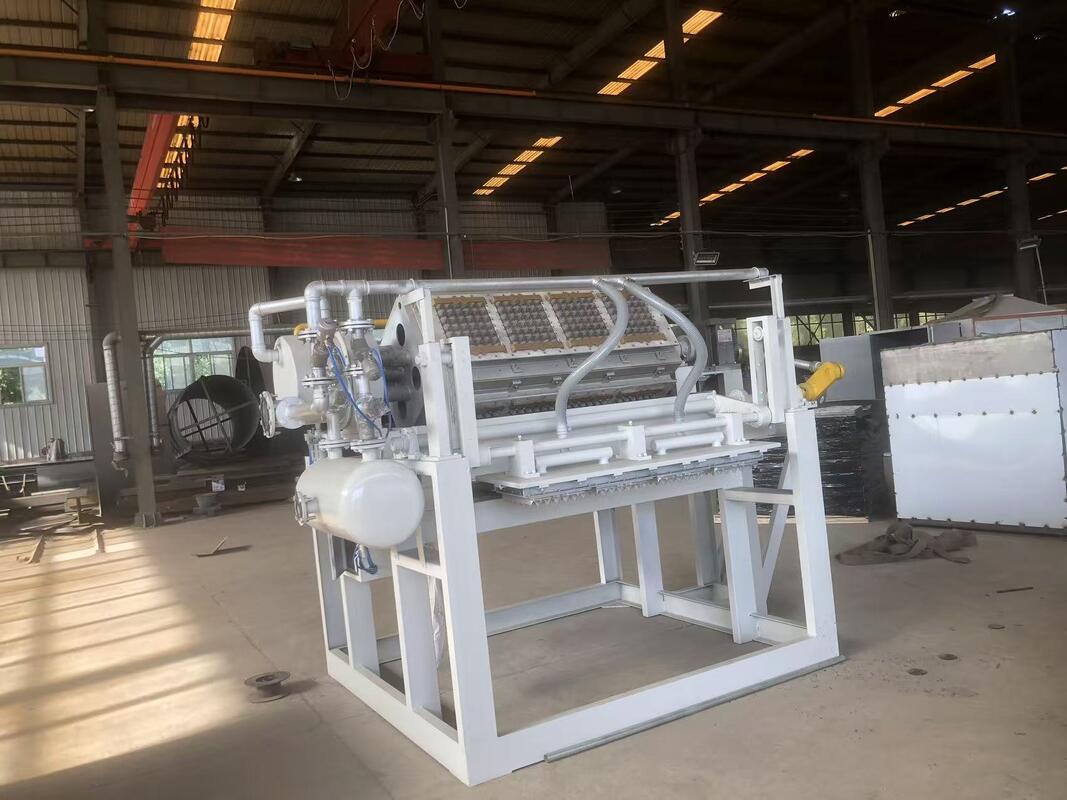  Rotary Paper Egg Tray Machine Egg Carton Production Line 2500-3000 Pcs/h Recycled Paper Pulp Molding Machine