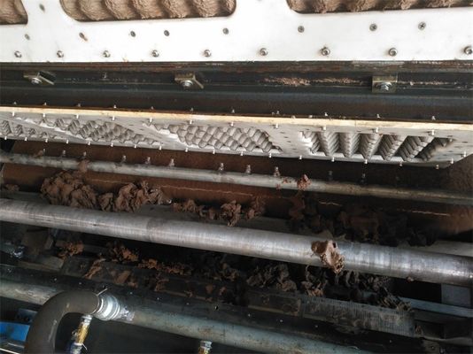 Automatyczna linia produkcyjna z papierowymi tacami do produkcji kartonów z jednorazowej masy jaj