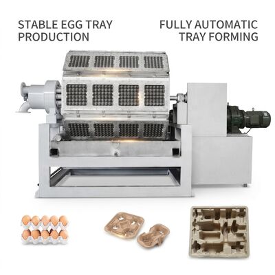 Egg Tray Making Machine with 10,000pcs/h Output, Automatic Stacking System and Recycled Paper Input for Efficient Paper Pulp Tray Production